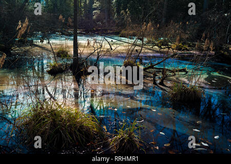 Farbenfrohe giftige Wasserverschmutzung in Feuchtgebieten der Gefahr für die Umwelt Umwelt. Stockfoto