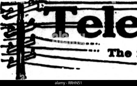 . Floristen Review [microform]. Blumenzucht. Januaby 22, 1920. Die Floristen^ überprüfen. leffleqph=UclivciP 3 HPepaffteie dem Floristen, deren Karten auf Fsme paees carryinc Kassen Raupe* avpear sind bis Aufträge von anderen Floristen für die lokale Zustellung auf der üblichen Basis vorbereitet.. Bitte beachten Sie, dass diese Bilder sind von der gescannten Seite Bilder, die digital für die Lesbarkeit verbessert haben mögen - Färbung und Aussehen dieser Abbildungen können nicht perfekt dem Original ähneln. extrahiert. Chicago: Floristen Pub. Co Stockfoto