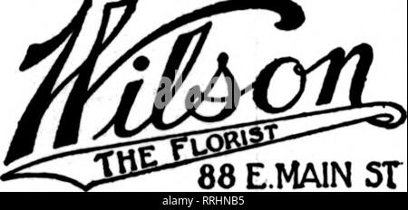 . Floristen Review [microform]. Blumenzucht. S. A. Anderson440 Main SL, Büffel, N Y Anderson Service bedeutet, frisch, stabile und schnelle Lieferungen in Buffalo. Lockport, Niagara Falls und Western New York. Mitglied von Th^ Flonofs "Tele" rraph Lieferung. BUFFALO NY L. H. NEUBECK Haupt- und hohe Sts. Mitglied FloriatB "Telegraph Deliveiy W.&amp; T. CASS Genf, NEW YORK, Fernschreiber Aufträge zeitnah in Western New York HORNELL, Na Y* WETTLIN FLORAL CO Mitglied Floristen "Telegraph D^l gefüllt. Associatioii BALLSTON SPA. New York (8 irBAB ABATOOA BFBXNOS) Th" Beyiiolda-Bobl DM&gt; nC; o. "QnalltySlowenl "Pr Stockfoto