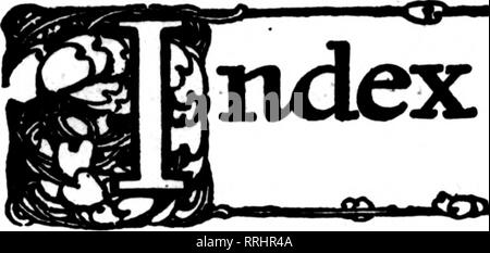 . Floristen Review [microform]. Blumenzucht. Die Floristen^ Review JANDAET 25, 1917. K^p-^x lo Der/Adverbisemeiils ^^i^bxsv. A. Acme Floral Co 78 Voraus Co 120 Albert & Amp; Davidson. PS Alfred Iiozior Rosery5!) Allen, J. K75 Alpha Flo. Co 56-59 -00-72 amerikanischen Hulb Co. 00 Amerikanische Gr'nhouse Mfp. Co krank American Fenster Glas Co 98 AmllnK Co 29 Anderson, S. A... 51 AnRermuPller, G. H. 44 Aphinc MfR. Co.. 102 Archias Floral Co. 5fl Archias Same Store. (!."! Armacost & Amp; Co... 7 (&gt; Arnold, A. 4. S Arnold, F. W "H Arnold &Amp; Co. Dc 74 Art Floral Co 58 Aschmann, G89 Aschmann Bro Stockfoto