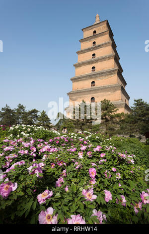 Riesige Wildgans-pagode (große Wildgans-pagode), Xi'an, Provinz Shaanxi, China, Asien Stockfoto