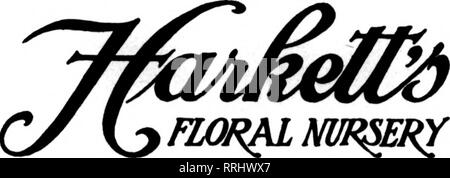 . Floristen Review [microform]. Blumenzucht. OMAHA, Neb. Alfred Donaghue 1622 Harney Straße etabliert isee Omaha, Nebraska Lee L. Larmon Fontenctle F'lorist, 1814 DOUGLAS ST Omaha, Nebraska Ti-kV" n "U" RofV * Die sorgfältige Florist, lIUIIII n. 1804 Ddlll FARNUM STRASSE Die Floristen "Telegraph Lieferung Hess & Amp; Swoboda, Floristen Telefone ISOl und L, 1582 1415 Farnam Straße. OMAHA, Neb. Lewis Henderson, Blumengeschäft 1519 Famum Straße. OMAHA. NEBRASKA Mitglied Florlato "telegraph Lieferung Ass'n Blumen für alle Anlässe. Von *^ rsdle bis zur Bahre Lincoln, Neb. CHAPIN BROS.. Retail Floristen KO Stockfoto