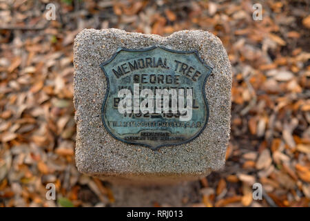 George Washington Bicentennial Tree Marker; 1932 Engagierte Der 200.  Jahrestag Der Geburt Von George Waghington Zu Gedenken; Bryan, Texas, Usa  Stockfotografie - Alamy