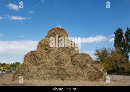 Trockene ballen Heuballen stack, ländliche Landschaft Stroh Hintergrund. Heu Ballen Stroh Lagerung voller Ballen Heu auf landwirtschaftlichen Schuppen. Land Kuhstall Stockfoto