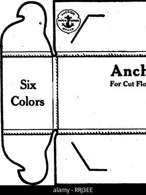 . Floristen Review [microform]. Blumenzucht. 32? ?^ f i^J^'' i* Wdem Floristen^ Review August 30, 1917. Mit Schönheit und Attraktivität. .,*.*.&Gt; v".*.%. k*".*. vi. Bitte beachten Sie, dass diese Bilder sind von der gescannten Seite Bilder, die digital für die Lesbarkeit verbessert haben mögen - Färbung und Aussehen dieser Abbildungen können nicht perfekt dem Original ähneln. extrahiert. Chicago: Floristen Pub. Co Stockfoto