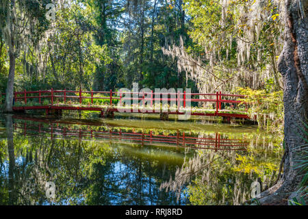 Brücke über Cypress Gardens in Charleston, South Carolina Stockfoto