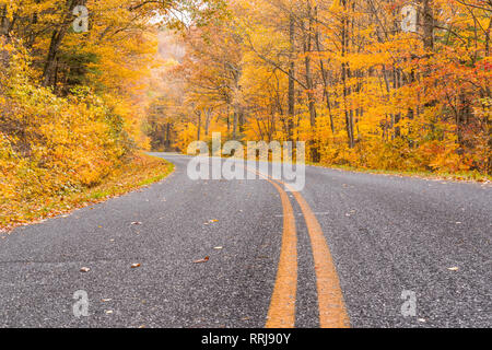 Falllaub in Shenandoah Nationalpark entlang der Blue Ridge Parkway Stockfoto