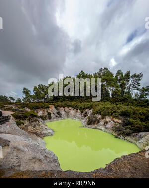 Devil's Cave Pool, Wai-O-Tapu Thermalpark, Rotorua, Nordinsel, Neuseeland. Stockfoto