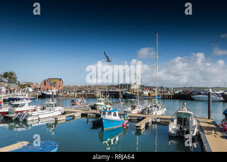 Frühling Sonnenschein und blauer Himmel über Yachten und Fischerboote in Padstow Hafen an der Küste von North Cornwall. Stockfoto