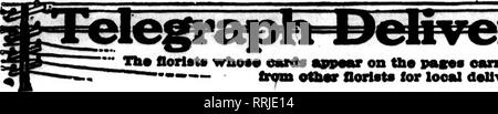 . Floristen Review [microform]. Blumenzucht. August 30, 1917. Die Floristen^ Review 43. Bitte beachten Sie, dass diese Bilder sind von der gescannten Seite Bilder, die digital für die Lesbarkeit verbessert haben mögen - Färbung und Aussehen dieser Abbildungen können nicht perfekt dem Original ähneln. extrahiert. Chicago: Floristen Pub. Co Stockfoto