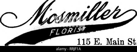 . Floristen Review [microform]. Blumenzucht. RICHMOND, VA. und alle in der Nähe. Unsere Einrichtungen sind unübertroffen in diesem Teil des Landes. 115 Main St. Mitglied Floristen "Telegraph Lieferung Ass'n. NORFOLK prompter Service erste-Klasse lieferbar VIRGINIA. Bitte beachten Sie, dass diese Bilder sind von der gescannten Seite Bilder, die digital für die Lesbarkeit verbessert haben mögen - Färbung und Aussehen dieser Abbildungen können nicht perfekt dem Original ähneln. extrahiert. Chicago: Floristen Pub. Co Stockfoto