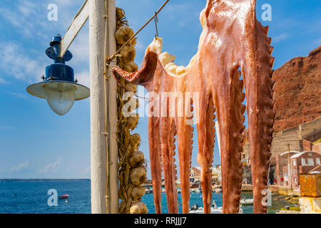 Octopus hing im Hafen von Oia, Santorini, Kykladen, Inseln der Ägäis zu trocknen, griechische Inseln, Griechenland, Europa Stockfoto