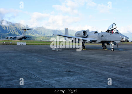 Eine A-10 Thunderbolt II Angriff Flugzeug sitzt auf der Rampe, während eine C-17 Globemaster III Cargo Aircraft Taxis in Richtung der Start- und Landebahn Feb.21, 2019, auf der Marine Corps Base Hawaii. Die 442 d gemeinsame Übungen mit US-Marines durchgeführt wurde, die Prüfung ihrer Fähigkeiten neben MV-22 Osprey tiltrotor Aircraft. (U.S. Air Force Foto von Tech. Sgt. Bob Jennings) Stockfoto