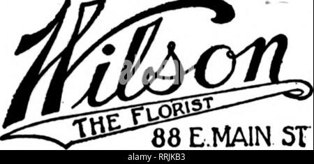 . Floristen Review [microform]. Blumenzucht. ROCHESTER, NEW YORK, r. T.D.. Wir erreichen Ajj.... -,-.- Western 68 MAIN ST n.y. Pomta. Die ROSENDALE FLOWER SHOP) Tema ((^26 Jay Street^ •^^ SCHENECTADY. New York keine Bestellung zu groß für uns zu fiU. Keiner zu smsU für prmnf dnration. Haben Sie abonniert die nationale Werbung finanzieren? - Tun SIE ES JETZT Memler F. T. D. Albany, New York, Albany, New York 23. STEUBEN STRASSE besten Service. FLOWER SHOP Se" d Ihr ich Aufträge an uns.. Bitte beachten Sie, dass diese Bilder aus gescannten Seite Bilder, die digital für die Lesbarkeit verbessert haben mögen - Färbung und appea extrahiert werden Stockfoto