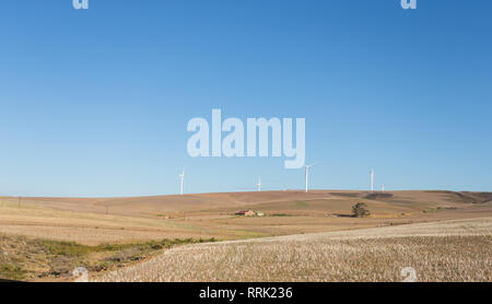 Landwirtschaftliche Flächen mit Windenergieanlagen auf den verschiedenen Farmen verstreut Strom oder Elektrizität in Caledon, Overberg, Südafrika zu generieren Stockfoto