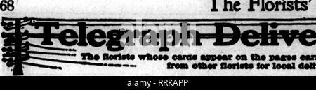 . Floristen Review [microform]. Blumenzucht. Die Floristen^ überprüfen. ? Pbil 24, 1919. ry Ji ^ © flonteta wlUM* earda appMur auf tlM*" "&gt;"? Fram othw floctots für looal ownrln * thia Baad*. Bitte beachten Sie, dass diese Bilder sind von der gescannten Seite Bilder, die digital für die Lesbarkeit verbessert haben mögen - Färbung und Aussehen dieser Abbildungen können nicht perfekt dem Original ähneln. extrahiert. Chicago: Floristen Pub. Co Stockfoto