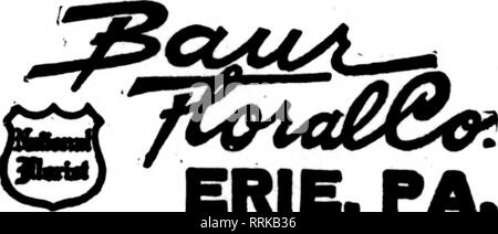 . Floristen Review [microform]. Blumenzucht. Besten SERVICE A.-W. Smith Co... Floristen • • • SgSgJc. Pittsburgh, PA Größte floral Niederlassung in Ameiica liicorponted Gegründet 1874 - 1909. ERIE, PA. LEBANO PA. J. F. VAVROUS SÖHNE. Bestellungen für die zentrale Penna. liaDdIe&lt; ich mit promptneaa. Mitglieder F. T. D. Mitglieder Floristen Telecraph Lieferung Ass'n EVENDEN BROS. t.^ clnt? Wenn^ "Williamsport, Pa enormes Wachstum einen attraktiven Hintergrund für eine Tabelle und Standards der blühenden Pflanzen gebildet. Scheinbar dominat-ing das Ensemble von oben rosa und rote Rosen. Bandolph&amp; MeClements, es geht Stockfoto