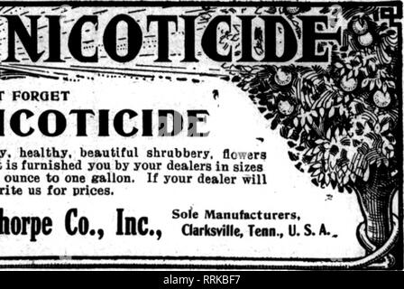 . Floristen Review [microform]. Blumenzucht. Nunhctiind durch Nikotin NTG. CONPANY, 117 N Main St, ST. LOUIS, US A. erwähnen die RoTlew wenn Yon schreiben. SPRAY MIT • C NICHT VERGESSEN NICOTICIDE wenn Sie sparsam, tiealthy, schöne Sträucher, Blumen und Gemüse. Es ist Ihnen von Ihrem Händler in den Größen von einer Unze zu einer Gallone, eingerichtet. Wenn Ihr Händler wird Sie nicht erbringen. Schreiben Sie uns für die Preise. P.R. Palethorpe Co., Inc.,^ alrtointrnnTu.. a. G.H.RICHARDS. 234 Borough, LONDON, S.E., DE 6. Größte britische Mannfacturer und Versender von Insektiziden, Räuchermittel und Garten Verbrauchsmaterialien aller Stockfoto
