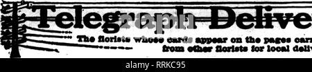 . Floristen Review [microform]. Blumenzucht. Januar 4, 1917. Die Floristen Review 39. JHf llorlato eard wImm * * wkpmv auf fh* pm; ** oanrlnc tbla?"*" - von oOmt Floristen für looal doUvory^a tiM. Bitte beachten Sie, dass diese Bilder sind von der gescannten Seite Bilder, die digital für die Lesbarkeit verbessert haben mögen - Färbung und Aussehen dieser Abbildungen können nicht perfekt dem Original ähneln. extrahiert. Chicago: Floristen Pub. Co Stockfoto