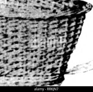 . Floristen Review [microform]. Blumenzucht. ?-N ^.- ^.'.-. G&AMP;iiiiiiim.ii.ii "ffl]] Iffliiimiiiimrffl iBaiiiiiiiiiiiiirffll Iffliiuiiiiiiiiirffl iBaiiimimiiffl]] jBnnnrrnTTTTTDWl lanTiiiiiimn" erwähnen die ReTlcw wenn Yon schreiben. LOmSVILLE, KY. Der Markt. Letzte Woche hatten wir einen Urlaub von besonderem Interesse für den Handel im Louis-ville. St. Patrick's Day bisher wurde durch den Verkauf von ein paar grüne Nelken und ein paar Shamrocks gekennzeichnet, und in keiner Weise könnte ein extra Tag aufgerufen werden. Die gerade passiert hat gezeigt, dass eine Änderung beschlossen, wie alle Hände waren beschäftigt von morgens bis in die Nacht und ein Stockfoto