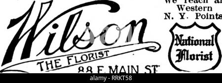 . Floristen Review [microform]. Blumenzucht. STORE - Gewächshäuser Die Floristen "Telegraph Lieferung Ass'n. ^K^s^** "^^H^^^ o* HMm vnMtr 1H S. A. Anderson 440 Main St., Buffalo, N.Y., Anderson Service bedeutet, frisch, robuste stockc und schnelle Lieferungen in Buffalo, Lockportt Niasara fällt und Western New York. Mitglied der Floristen "Telegraph Lieferung. ROCHESTER, N.Y. f-t."&gt;. Wir erreichen alle Westlichen N.y. PolntB.. "" FMA 1 N5 T SCOTT das Blumengeschäft in Buffalo, New York c W.&amp; T. CASS, Horists GENF, N.Y Telegraph Aufträge zeitnah in Western New York gefüllt. Bestellungen für PHILADELPHIA UND SUR Stockfoto