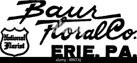 . Floristen Review [microform]. Blumenzucht. 1311 Pacific Ave. Die Floristen "Telegraph Lieferung Pittsburgh, PA. BLIND FLORAL CO; Floristen, Dekorateure und Züchter Liberty Avenue und Sth Straße (Empire Gebote.) umfangreiche Auswahl und Lieferung, E £ Scicnt Service und abgeschlossene Werk. MADDEN FLORIST JERSEY CITY. J. Gegründet 1899 MONTCUIR, N. J. MASSMANN Mitglied Floristen Tel. Del Ass'n rn ATI! Eine 11-V-V Der Chatiun ncral Cs. tnAlIulFl, H. ICH • PMMnNEu.Win UK Entera NEW YORK und Wtiteni Masse. EW JERSEY EDWARD 8 CKBRT FATKR 80 N und PASSAIC Mitglied Floristen "Telegraph del Geny Bros. l;:^:^ 212 fünfte Avenu Stockfoto