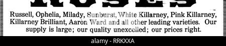 . Floristen Review [microform]. Blumenzucht. 26 Die Floristen Review FiBBUABT 15, 1917. Illllilllllllllllllllllllllllllilllilllllllllllllllllllllllllllllllllllllilllllllllllllllllllllllllllllllllllllllllllllllllllilllilllllllllllillllllllllllllll^^'. Nelke Nelken ihren Umsatz steigern, indem Sie uns Ihre Bestellung. Wir sind zu Fell vorbereitet - Sie in Menge nish." Unsere Spencer ZUCKERERBSEN Zuckererbsen selbst verkaufen. Senden Sie uns Ihre Bestellung und lassen Sie sich überzeugen. Große Auswahl an Farben. Ich A. L RANDALL UNTERNEHMEN | Ich Wabash Avenue an der Lake Street, Chicago, Ill. | niiiiiiiiiiiiiiiiiiiiiiiiiiiiiiiiiiiiiii Stockfoto