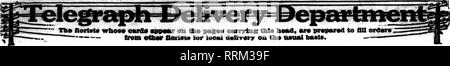 . Floristen Review [microform]. Blumenzucht. Septbmbeb ist, 1916. Die Floristen Review 49. Clarksburg, W. Va" Um ihre Flo: "Rers zu jedem Anlass für Lieferung in thia Abschnitt von der führenden Floristen im Zustand. Hayman Gewächshaus Comptly. Üblichen Rabatt. Beide Telefone Ko. ) Ich 454. Florale ORDERSf oder Bryn Mawr, Main Line, Conshohocken und Norristown^' tmedlr WILLIS H. BALDWIN, Cbiisholiockca, P". ROCHESTER, N.Y." • • '^S55""""^ SS 5 Clinton Avenne, N. Boch. Pbone Stein 606. L. D. Bell Phone Main 2181 Mitglieder Floristen Teleg; Ra (&gt; h Lieferung CHAS. L BAUM - "Ihe Home der Blumen", Knoxville, T Stockfoto