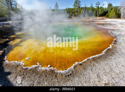 WY 03853-00 ... WYOMING - Morning Glory Pool im Oberen Geiser Beckens in Yellowstone National Park. Stockfoto