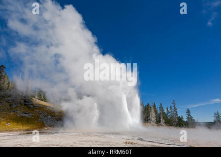 WY 03865-00 ... WYOMING - Grand Geyser von Schlitz und Turban Geysire in der Upper Geyser Basin des Yellowstone National Park ausbrechenden umgeben. Stockfoto