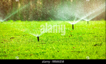 Automatische Sprinkler rasen Bewässerung grünes Gras. Sprinkler mit Automatik. Garten Bewässerung Bewässerung rasen. Die Einsparung von Wasser oder Wasser Stockfoto