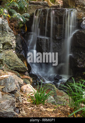 Eine Nahaufnahme von einem Wasserfall im Mount Cootha botanischen Garten in Brisbane Australien Stockfoto