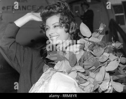 Loren, Sophia, * 20.09.1934, italienische Schauspielerin, halbe Länge, bei der Ankunft am Flughafen, London, 18.10.1957, Additional-Rights - Clearance-Info - Not-Available Stockfoto