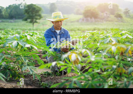 Geschäftsmann Bauer Holding Tablet in 888-Feld. Intelligenter Landwirt Konzept. Stockfoto
