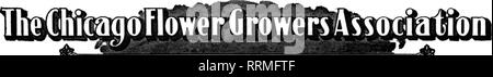 . Floristen Review [microform]. Blumenzucht. Febbdaby 17, 1916. Die Floristen^ Review 27^^ ich Rainbow Freesial jiiiiiiiiiiiiiiiiiiiiiiiiiiiiiiiiiiiiiiiiiiiiiiiiiiiiiiiiiiiiiiiiiiiiiiiiiiiiiiiiiiiiiiiiiiiiiiiiiiiiiiiiiiiiiiiiiiiiiiiiiiiiiiiiiiiiiiiiiiiiiiiiiiiiiiiiiiiim BOT ICH IN VIELEN hellen Farben habe ich es schwierig wäre, zu Itn-I agfine etwas feineren für phantastische ich Warenkorb arbeiten, für mittelstücke ich zum Abendessen Tabellen oder für Corsage ich Blumensträuße. Intensiv genutzt werden, habe ich nicht nur von Chicago's führende speichert, = aber progressiv durch Einzelhändler in vielen anderen Städten. Helle, frische, fra - ich gewähren, neu. Ich Darm Stockfoto