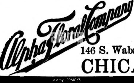 . Floristen Review [microform]. Blumenzucht. Die Floristen * Telegraph Lieferung Association. 146 S. Wabash Avenue Chicago ihre telegraph Bestellungen an uns senden für Lieferung in Chicago und Umgebung. FRED C.^ WEBER 4326-28 Olive Street, (ST. LOUIS, MO. r^TVe haben keine Filiale&gt; - "VERKAUFEN BLUMEN 46 Tränen * Mitglied Florlats "Telegraph Lieferung Asa * n.. Bitte beachten Sie, dass diese Bilder sind von der gescannten Seite Bilder, die digital für die Lesbarkeit verbessert haben mögen - Färbung und Aussehen dieser Abbildungen können nicht perfekt dem Original ähneln. extrahiert. Chicago: Floristen Pub. Co Stockfoto