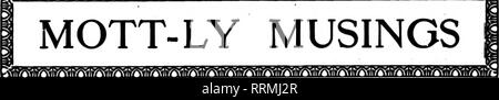 . Floristen Review [microform]. Blumenzucht. ^GT" (1^1^^ Wli^' "rV S w yy ^^^^ yr' vy'" • "hf^t^ ytif "V"? Ich ^f S'Jl) g/JLV8^l^XV" JlvgjXV 8 jJlvg/^l^ JlX 8 jJl ^^^^. ir? Luft 7 svirr 4 Xir/Rühren/Sir/Sir "Vir " vir^r" vii/i^iirsir^ Aii ^Ir/^^ W. D. Snell, der Herkimer, N.Y., hat die Einrichtung von Hakes &Amp; Sohn an nion, N.Y., gekauft und die Gewächshäuser, die an das Werk des Herrn Snell am Mohawk, N.Y., das Land für die Beibehaltung als zu wertvoll hinzugefügt werden abgerissen. Die Miete der Zuhause läuft bald ab, und wie es auch ist im Wert über Normal^ erweiterte Es hat nicht entschieden, Wh. Stockfoto