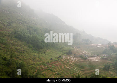 Terrassierten Hügeln im Nebel, Sa Pa, Vietnam Stockfoto