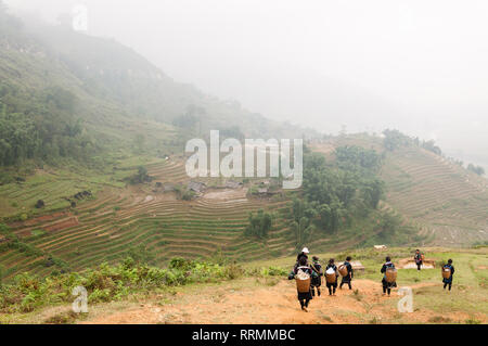 Lokale Hmong Frauen in traditioneller Kleidung zu Fuß eine Hügel mit terrassierten Hügeln im Hintergrund an einem nebligen Tag, Sa Pa, Vietnam Stockfoto