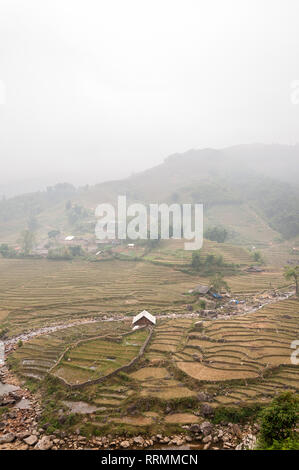 Terrassierten Hügeln und landwirtschaftlichen Häuser in Nebel, Sa Pa, Vietnam Stockfoto