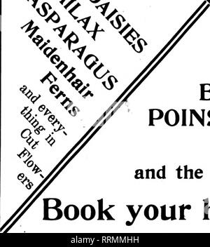 . Floristen Review [microform]. Blumenzucht. J.J. COAN, fc Floristen Großhandel 115 West 28 Street NEW YORK. Telefon Hunderte von BOSTON FARN, WEIHNACHTSSTERNEN, Azaleen, PRIMELN le neuer Bronze - Blatt BEGONIEN Buchen Urlaub im Voraus zu bestellen. Bitte beachten Sie, dass diese Bilder sind von der gescannten Seite Bilder, die digital für die Lesbarkeit verbessert haben mögen - Färbung und Aussehen dieser Abbildungen können nicht perfekt dem Original ähneln. extrahiert. Chicago: Floristen Pub. Co Stockfoto