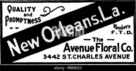 . Floristen Review [microform]. Blumenzucht. Führende Floristen Geny Bros 212 Fifth Avenue North NASHVILLE, Tenn. "WK" NKVBR SLHP SioosEs Memphis, Tenn 89 South Main Streot • Up-to-the-minute "Service und Ausführung jeder Blume in der Saison alle SENDEN, Memphis, AUFTRÄGE ZU DEN FLOWER SHOP 69 Madison Avenue TlNNESSEl MKMPHIS, EL PASO, Texas, POTTER BLUMEN CO Mitglied Floristen "Telegraph Lieferung AmTb Lang Floral&amp; Baumschule Co., Dallas, Tex Schreiben oder Draht Hauptsitz für Blumen für Texas, Oklahoma, Loulalana, Neue Mexioe. Keine Bestellungen zu groß, keiner zu wnalL Bestellungen für TEXAS KERR den Flor Stockfoto