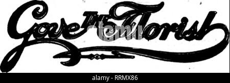 . Floristen Review [microform]. Blumenzucht. H.F. iA. LANCE W (#Ester, Mass Deliyers in %] 1 Punkte in New England 125.000 Quadratfuß Qlass Mitglied Florist^ Telegraph Lieferung Aaa'n BUIHJN" Tonne. VT-lrfen hr fferMet Hilfe Rirtk - • Ra?. T. MM ti hinten tmOn latlihctlee Es risM vrlm.. Bitte beachten Sie, dass diese Bilder sind von der gescannten Seite Bilder, die digital für die Lesbarkeit verbessert haben mögen - Färbung und Aussehen dieser Abbildungen können nicht perfekt dem Original ähneln. extrahiert. Chicago: Floristen Pub. Co Stockfoto