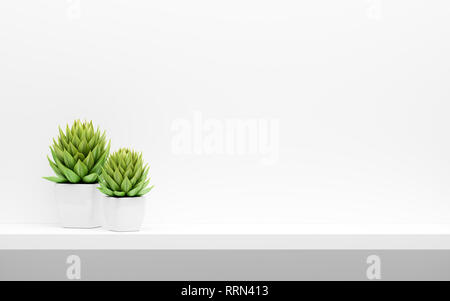 Regal auf weiße Wand mit grünen Topfpflanzen mock up. 3D-Darstellung Stockfoto