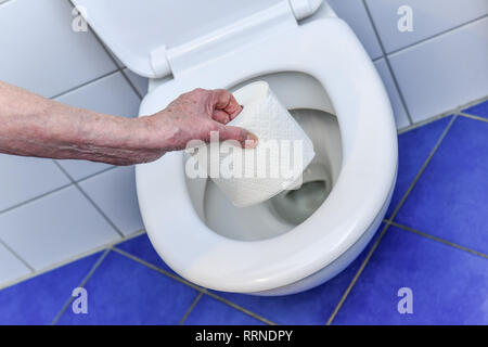 Toilettenpapier, Wc, Klopapier, Toilette Stockfoto