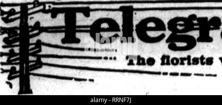 . Floristen Review [microform]. Blumenzucht. jf ^^j^ ^-^ ^-^ Yi; r: "rvv?^^:. f'iri 'f'! f: ^r,' - ich^^ Fii (.^-. t. , 1. Jakuabx 13, 1916. Die Floristen Review 43. Bitte beachten Sie, dass diese Bilder sind von der gescannten Seite Bilder, die digital für die Lesbarkeit verbessert haben mögen - Färbung und Aussehen dieser Abbildungen können nicht perfekt dem Original ähneln. extrahiert. Chicago: Floristen Pub. Co Stockfoto