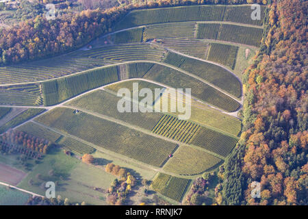 Weinberge in Süddeutschland Stockfoto