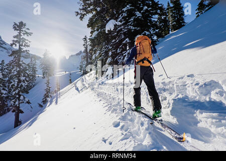 Langläufer entlang sonniger Schnee bedeckt, Anschluss an sonnigen, idyllischen Berghang Stockfoto