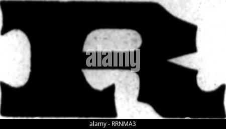 . Floristen Review [microform]. Blumenzucht. 28 Die Floristen^ Review Dbcismbeb 2, 1915.. wird eine Quelle der stetigen Profit zu sein, wenn Sie os^ die Lager, die wir hier anbieten:. Bitte beachten Sie, dass diese Bilder sind von der gescannten Seite Bilder, die digital für die Lesbarkeit verbessert haben mögen - Färbung und Aussehen dieser Abbildungen können nicht perfekt dem Original ähneln. extrahiert. Chicago: Floristen Pub. Co Stockfoto