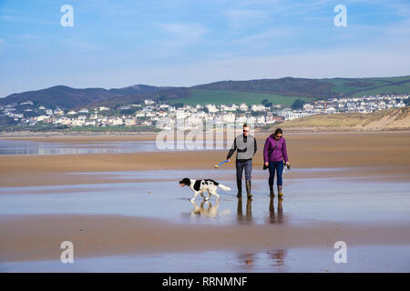 Ein tausendjähriges Paar Menschen, die bei Ebbe im Winter einen Springer-Spaniel-Hund an ruhiger sandiger Küste spazieren gehen. Woolacombe North Devon England Großbritannien Stockfoto